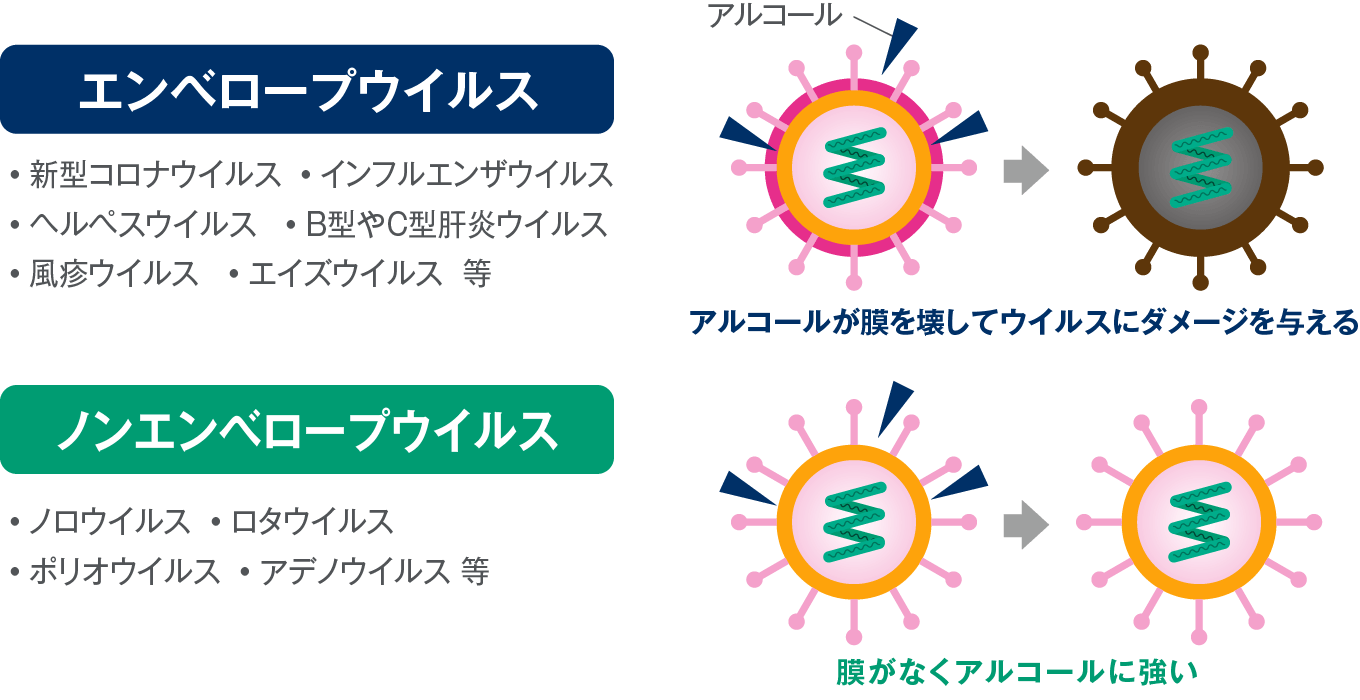 エンベロープウイルス・ノンエンベロープウイルス